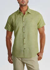 Camisa Cuello ingles verde pistacho - MC